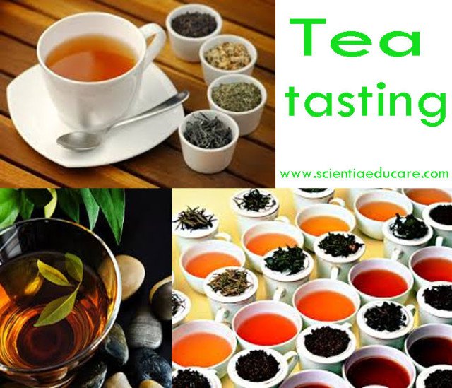Tea-tasting