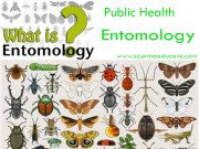 Public Health Entomology
