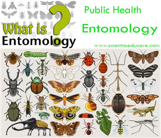 research topics for entomology