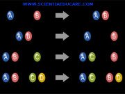 What is a Chemical Reaction?