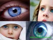 Blue-eyed humans have a single, common ancestor
