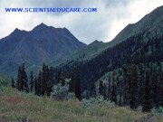 Cool Jobs: Green Science