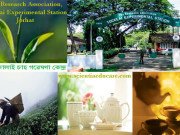 Assam Skill University, Mangaldai, Assam