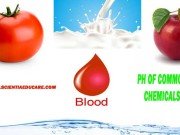 pH of Common Chemicals