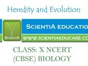 Heredity and Evolution Class: X CBSE NCERT