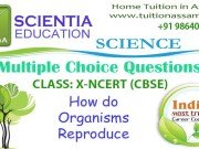 CLASS: X :: How do Organisms Reproduce