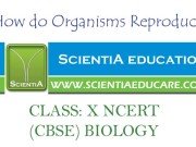 How do Organisms Reproduce CLASS: X NCERT (CBSE) BIOLOGY