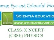 Human Eye and Colourful World CLASS: X NCERT (CBSE) PHYSICS