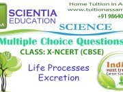 CLASS: X :: Life Processes Excretion