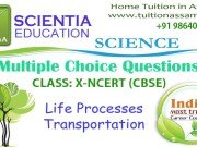 CLASS: X :: Life Processes Transportation