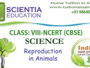 CLASS: VIII :: Reproduction in Animals