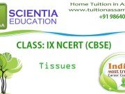 CLASS: IX :: Tissues