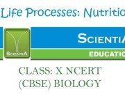 Life Processes: Nutrition CLASS: X NCERT (CBSE) BIOLOGY