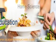 Class 11 Home Science Syllabus CBSE