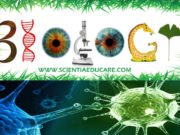 Class 11 Biology Syllabus CBSE