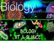 Class 12 Biology CBSE Syllabus