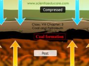 Class: VIII Chapter: 3 Coal and Petroleum