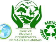 Class: VIII Chapter:5 CONSERVATION OF PLANTS AND ANIMALS