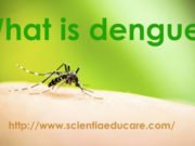 What is dengue?