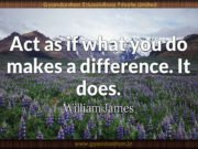 Act as if what you do makes a difference. It does. William James