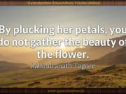 By plucking her petals, you do not gather the beauty of the flower. Rabindranath Tagore