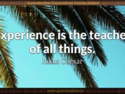 Experience is the teacher of all things. Julius Caesar
