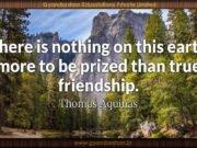 There is nothing on this earth more to be prized than true friendship. Thomas Aquinas