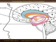 Memory science: can you extend your short-term memory?