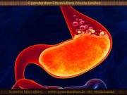 Stomach acid is strong enough to dissolve razor blades