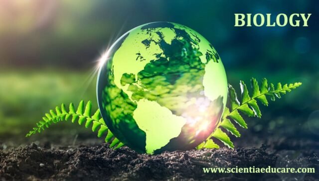 Biology Study Materials