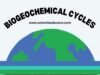 Biogeochemical Cycles: Carbon, Nitrogen and Water Cycles Biogeochemical Cycles