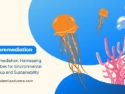 Bioremediation: Using Microbes to Clean the Environment Bioremediation