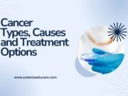 Cancer: Types, Causes and Treatment Options Cancer Types