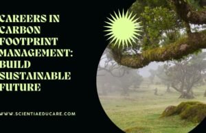Careers in Carbon Footprint Management: Build Sustainable Future Carbon Footprint Management