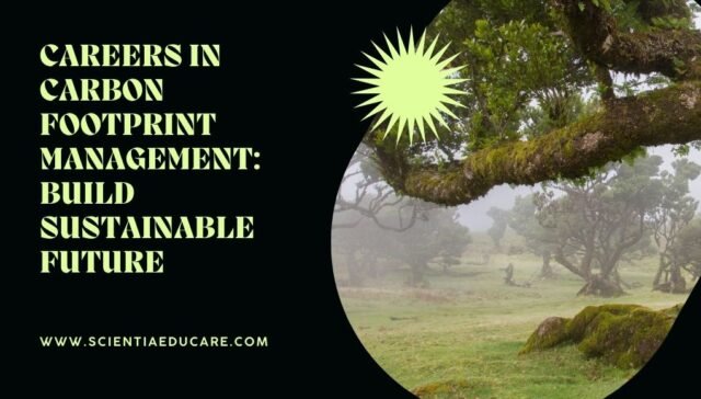 Carbon Footprint Management