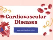 Cardiovascular Diseases: Types, Causes and Prevention Cardiovascular Diseases