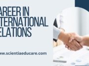Building a Career in International Relations: Strategies for Success Career in International Relations