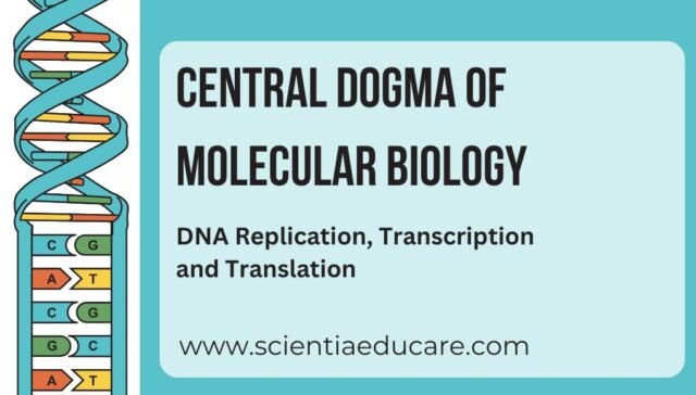 Central Dogma of Molecular Biology