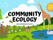 Community Ecology: Interactions and Succession Community Ecology