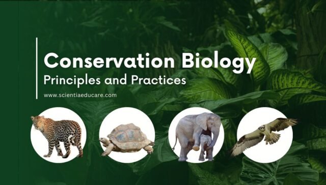 Conservation Biology