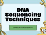 DNA Sequencing Techniques: Sanger vs. Next-Generation DNA Sequencing Techniques