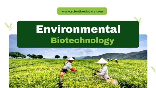 Environmental Biotechnology