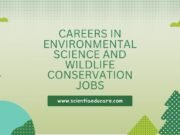 Careers in Environmental Science and Wildlife Conservation Jobs Environmental Science and Wildlife Conservation