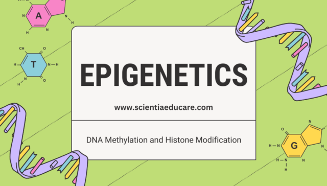 Epigenetics