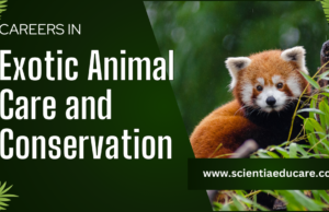 Explore Top Careers in Exotic Animal Care and Conservation Exotic Animal Care and Conservation