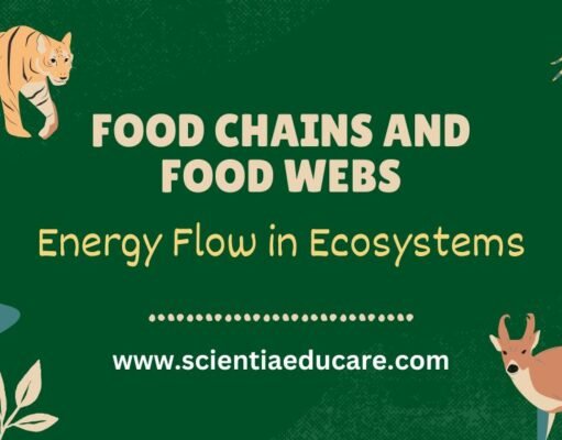 Food Chains and Food Webs: Energy Flow in Ecosystems Food Chains and Food Webs