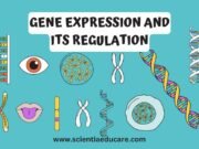 Gene Expression and Its Regulation: Operon Model Gene Expression and Its Regulation