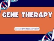 The Future of Gene Therapy Careers: Opportunities & Growth Gene Therapy Careers