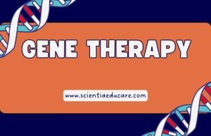 The Future of Gene Therapy Careers: Opportunities & Growth Gene Therapy Careers