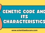 Genetic Code and Its Characteristics: Understanding the Blueprint of Life Genetic Code and Its Characteristics